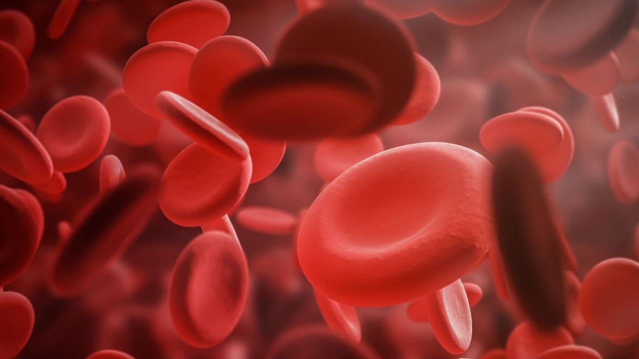 Anemia related image